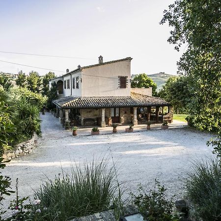 Agriturismo Col Morino Bed & Breakfast Pineto Luaran gambar