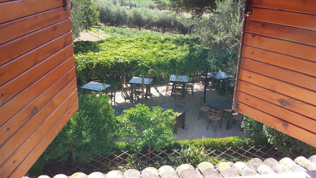 Agriturismo Col Morino Bed & Breakfast Pineto Bilik gambar